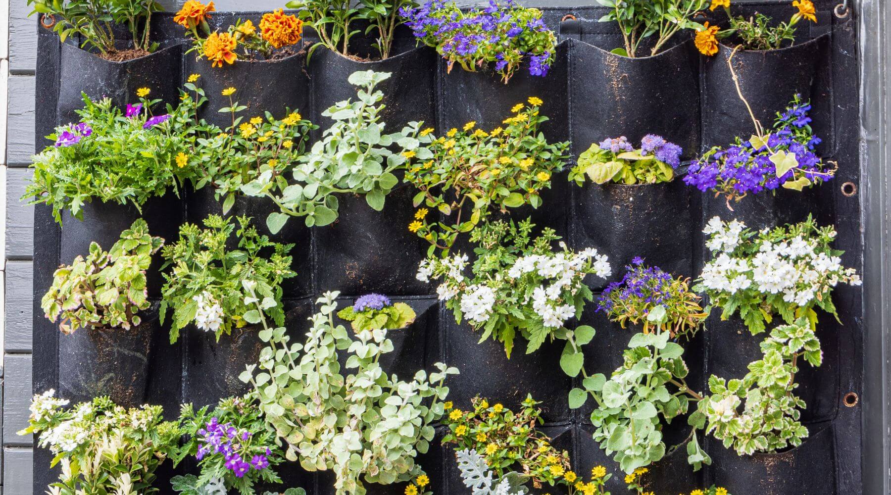 jardines verticales