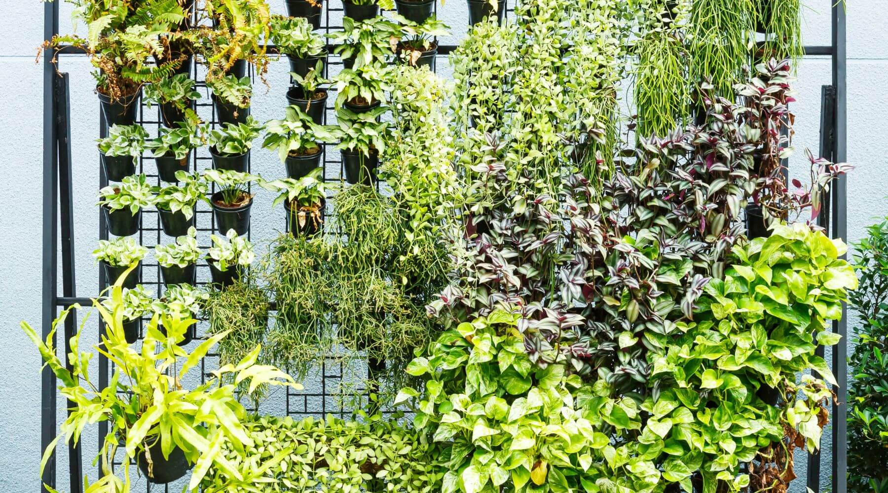 jardines verticales
