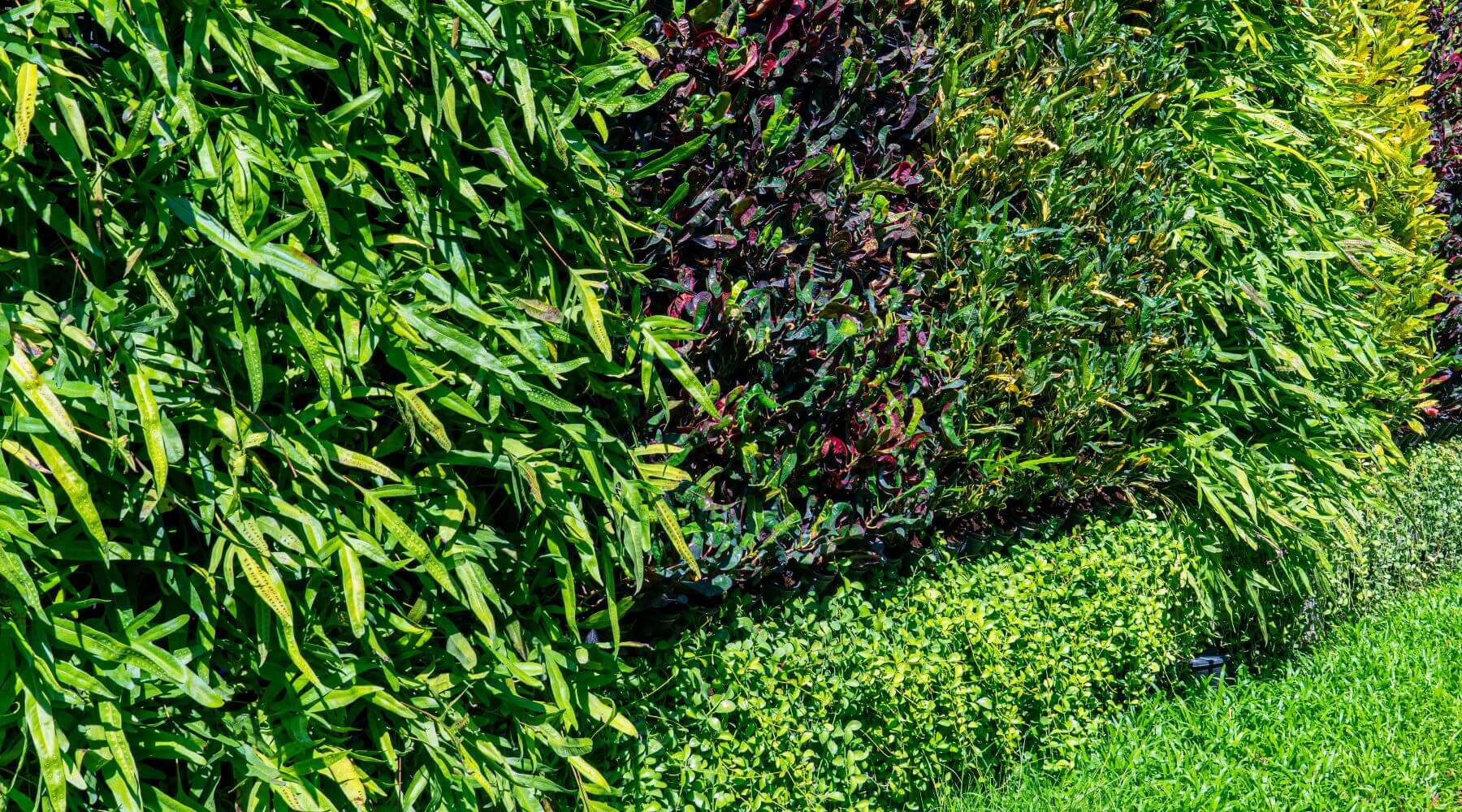 jardines verticales