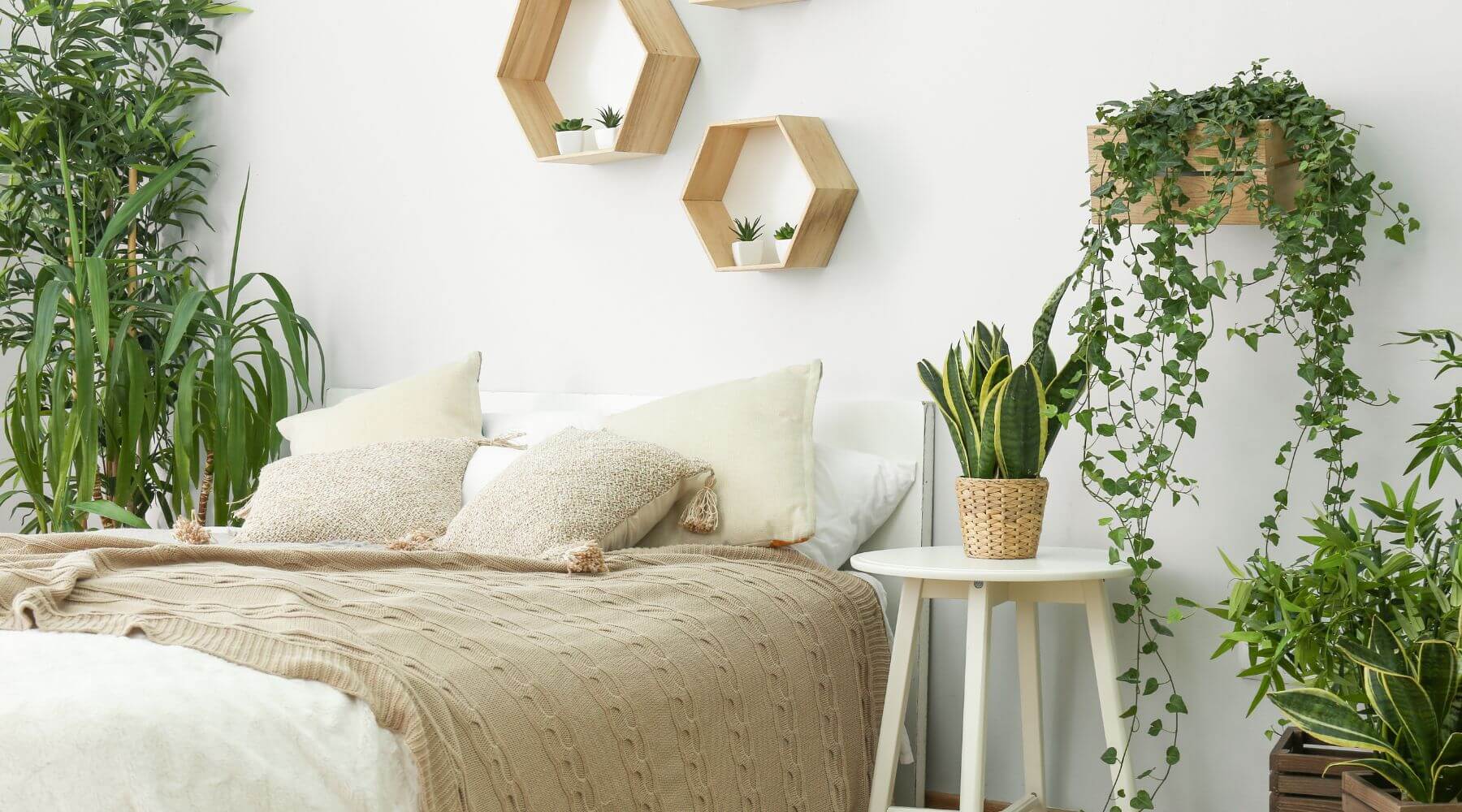 Cuartos decorados
