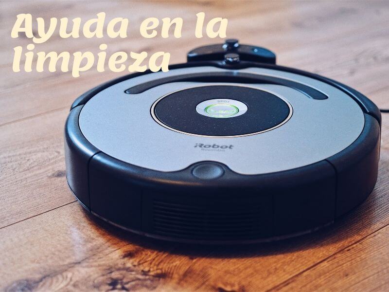Mascota en casa: 12 consejos para adaptar tu hogar.
