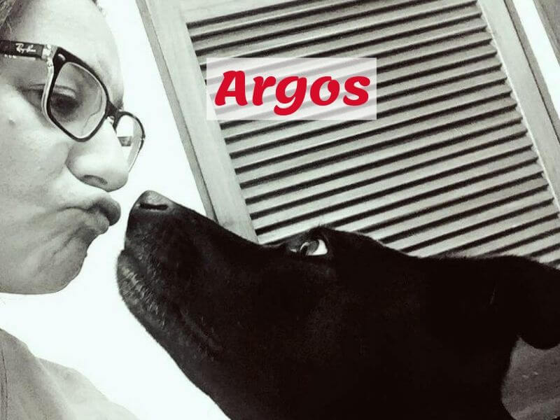 mascotas