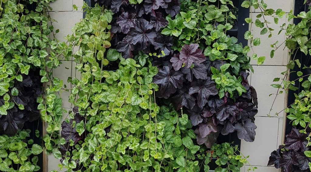 Jardines verticales